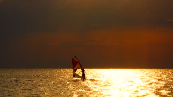 Genç Adam Batan Güneşin Dalgalarda Üzerinde Rüzgar Sörfü Pratik — Stok video