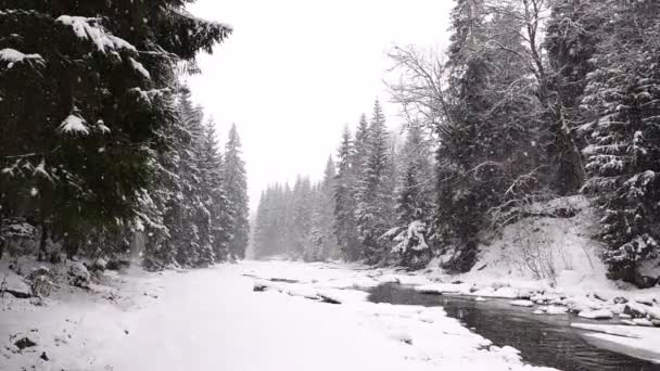 Liten Flod Och Fallande Snö Skogen Slowmotion — Stockvideo