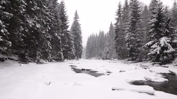 小さな川や森に降る雪 スローモーション — ストック動画