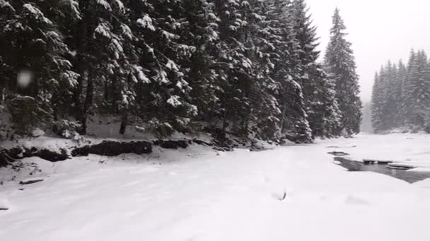 Liten Flod Och Fallande Snö Skogen Slowmotion Panorama — Stockvideo