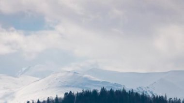 Timelapse Hoverla Ukrayna ve Ukraynaca Karpatlar en yüksek dağıdır. Yükseklik 2061 metre deniz seviyesinden.