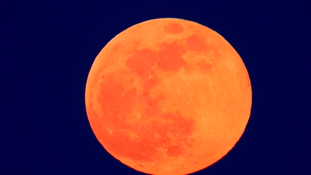 Luna Plină Răsare Repede Noaptea Sunet — Videoclip de stoc