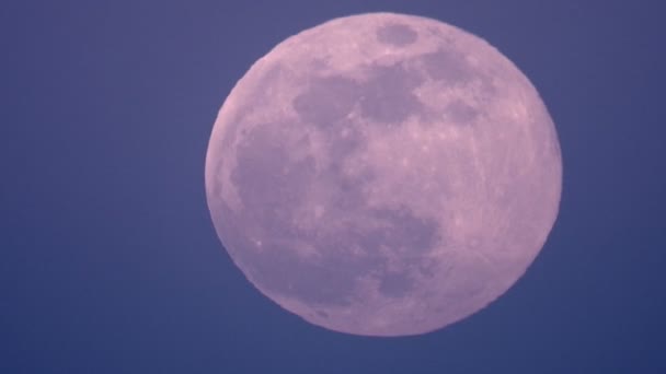 Full Moon Rising Rapidly Night — Stock Video