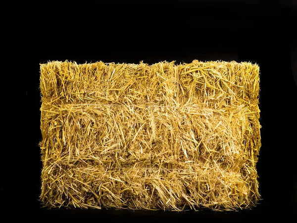 Yellow dry barley straw — Stock Photo, Image