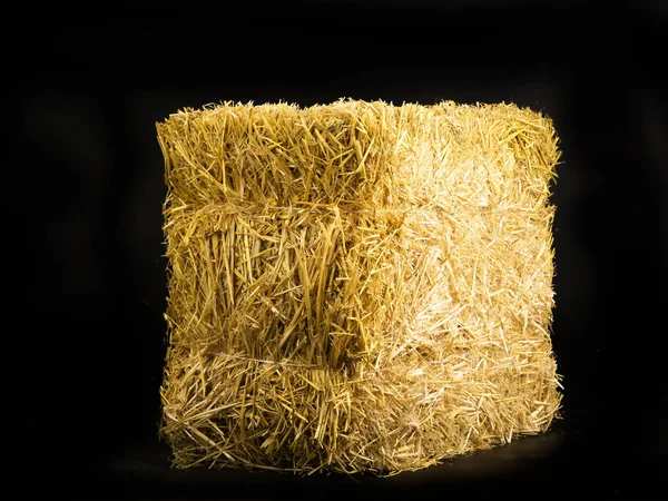 Yellow dry barley straw — Stock Photo, Image