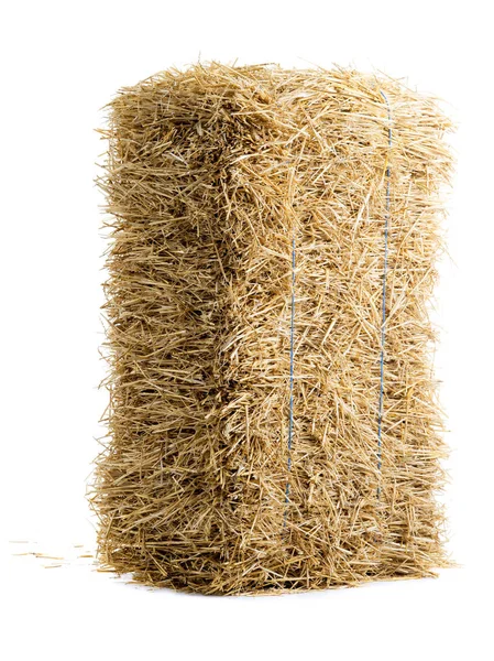 Dry haystack isolated — Stock Photo, Image