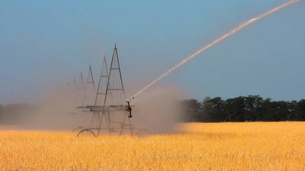 Irrigation system for watering plants — Stock Photo, Image