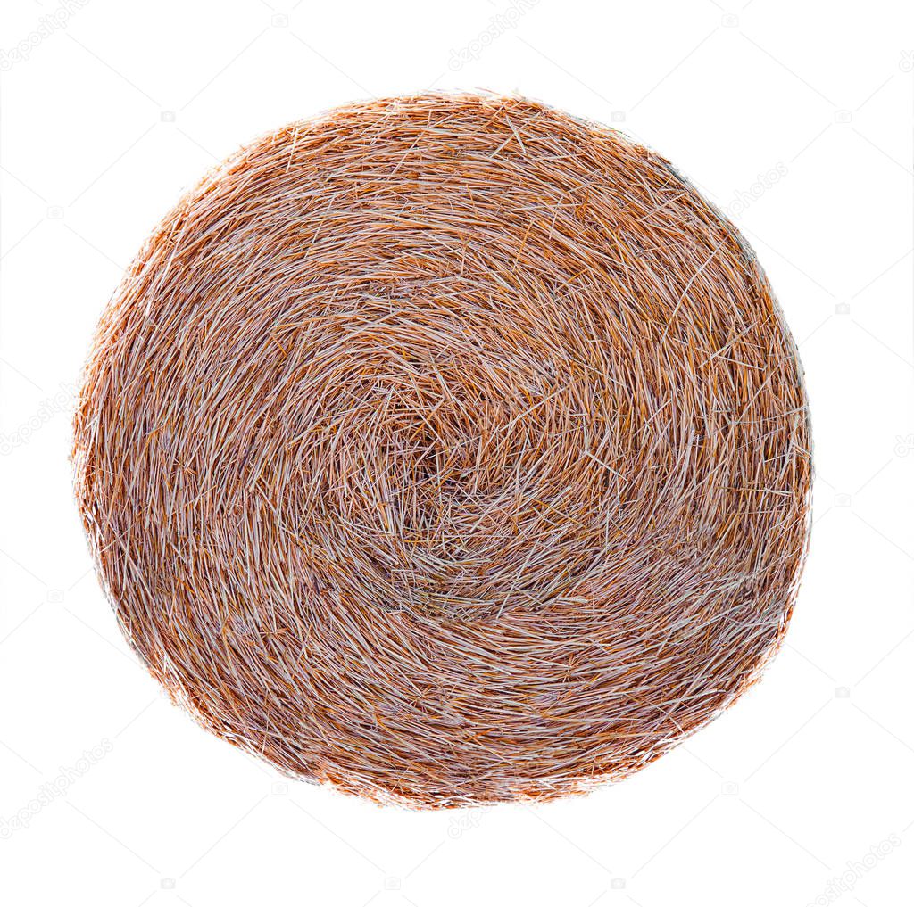 Round hay bale isolated 