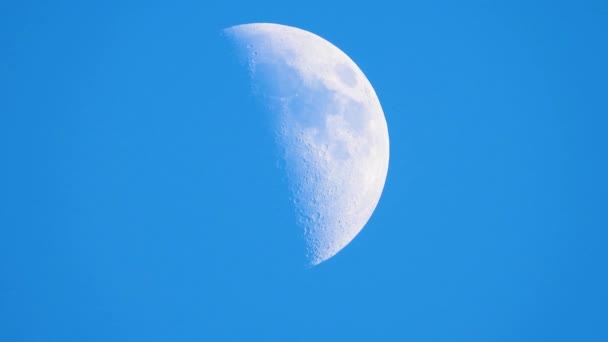 Luna Enorme Contra Cielo Azul Sonido — Vídeo de stock