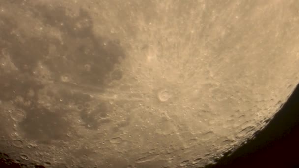 Muovere Luna Grande Usignolo Canta Notte — Video Stock