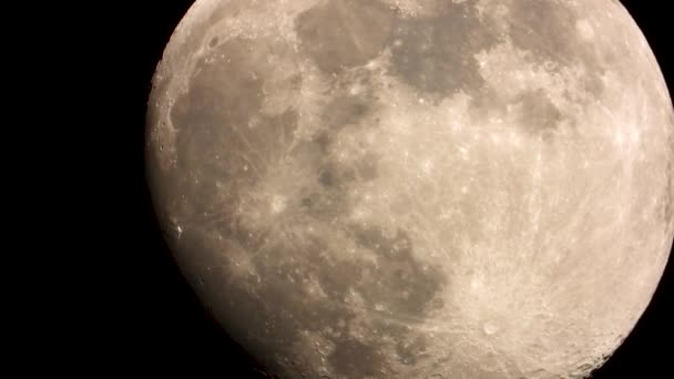 Flytta Big Moon Näktergalen Sjunger Natten Ljud — Stockvideo