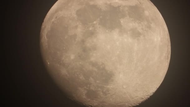 Luna Grande Movimiento Con Halo Ruiseñor Canta Por Noche — Vídeo de stock