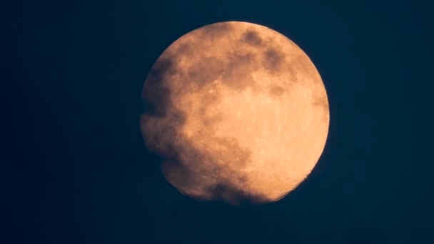 Déplaçant Grande Lune Qui Est Couverte Nuages Hurler Corbeau Nuit — Video