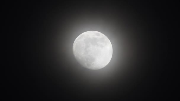 Μετακινώντας Μεγάλο Φεγγάρι Φωτοστέφανο Αηδόνι Τραγουδά Νύχτα — Αρχείο Βίντεο
