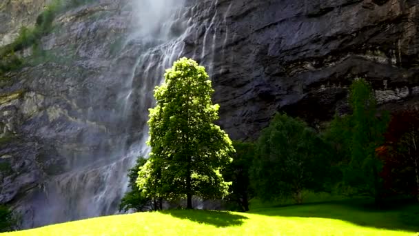Stående Träd Bakgrund Ett Vattenfall Schweiz — Stockvideo