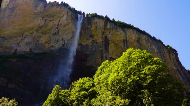 Árbol Pie Sobre Fondo Una Cascada Suiza — Vídeo de stock