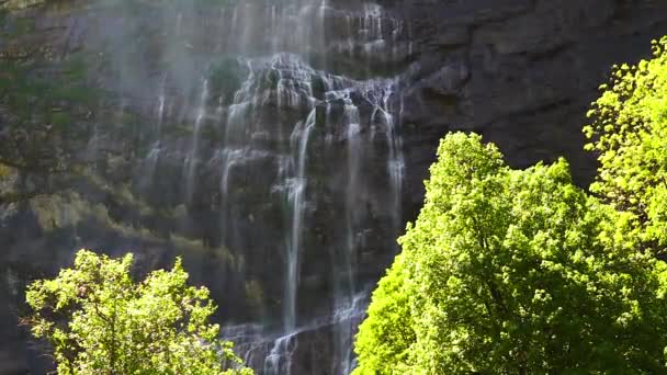 Árbol Pie Sobre Fondo Una Cascada Suiza — Vídeos de Stock