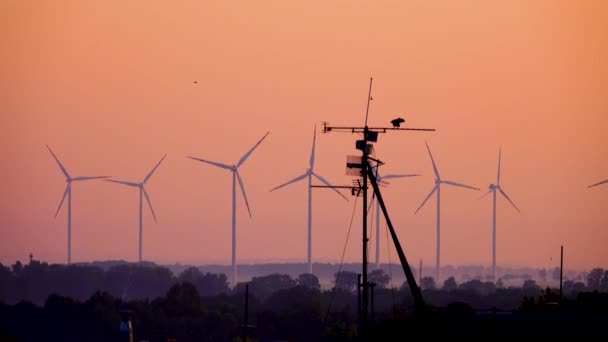 Wind Turbines Birds Sunrise — Stock Video