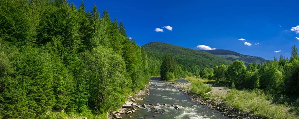 View of the mountain river with green forest, blue sky with whit — Stock Photo, Image