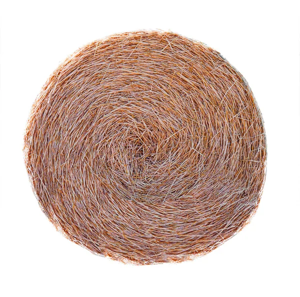 Round hay bale isolated — Stock Photo, Image