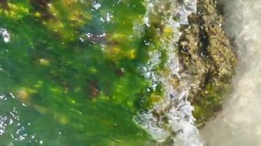 denizde yavaş hareket dalgası