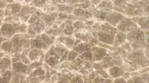 Lapins Soleil Sur Fond Vagues Mer — Video