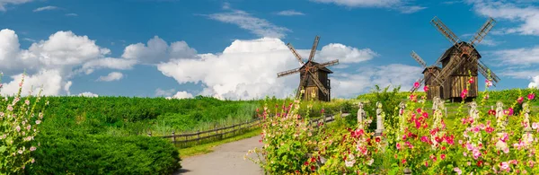 Blick auf hölzerne Windmühlen. Dorf wodianiki, tscherkasy — Stockfoto