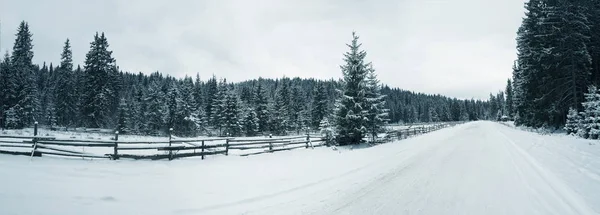 Panoramisch uitzicht op de Karpaten, regio Ivano-Frankivsk — Stockfoto