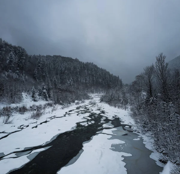 Havas tél a Kárpátokban. Hegyi folyó és hóerdő. — Stock Fotó
