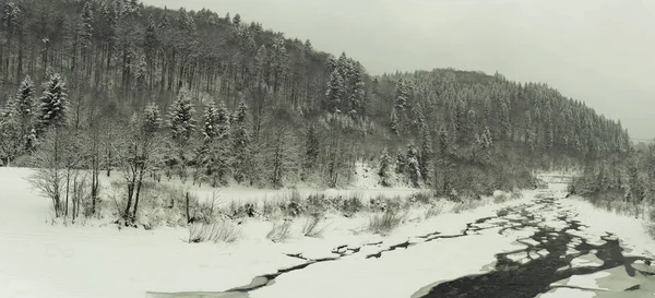 Inverno nevoso nei Carpazi. Fiume di montagna e foresta di neve . — Foto Stock