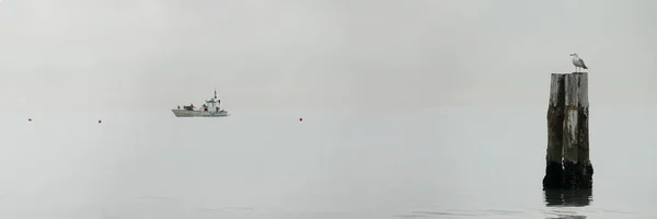 Pescando peixes perto do passeio de Rimini. Itália — Fotografia de Stock