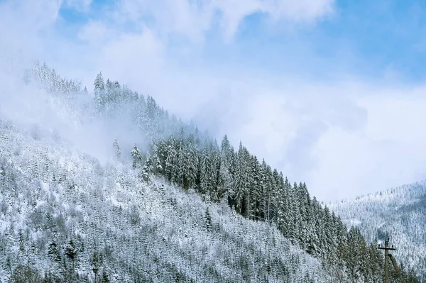 Día Invierno Ladera Las Montañas Cárpatos Ucrania —  Fotos de Stock