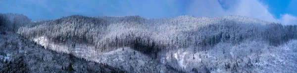 Synevirsky Reserva Ucrânia Floresta Topo Das Montanhas Inverno — Fotografia de Stock