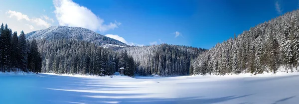 Synevir Lake Oekraïne Panorama Van Het Meer Winter — Stockfoto