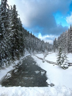 Ormandaki dağ nehri. Karpatlar. Ukrayna. Kış.