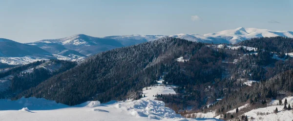 Dağlar Orman Kar Karpatlar Ukrayna — Stok fotoğraf