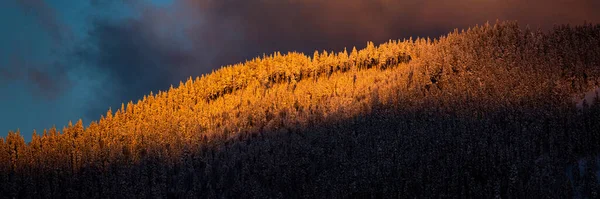 Ondergaande Zon Achtergrond Van Het Bos Een Ijzige Avond Synevyr — Stockfoto