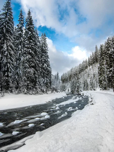Rio Montanha Floresta Cárpatos Ucrânia Inverno — Fotografia de Stock