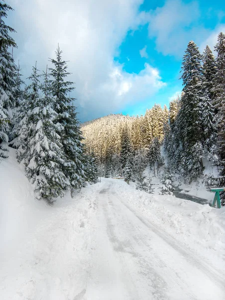 Fjällväg Vid Älvsjö Skogen Karpaterna Ukraina Vinter — Stockfoto