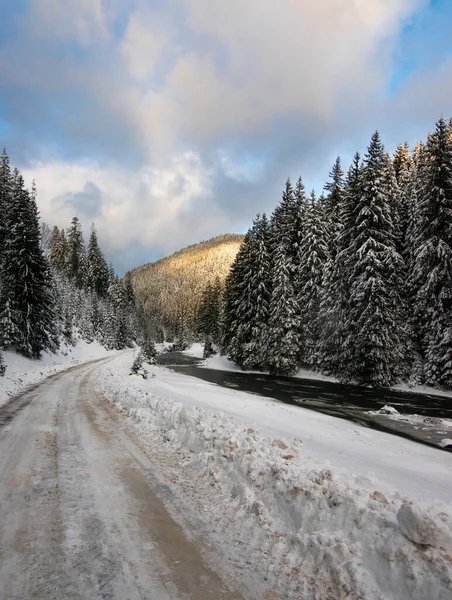 Camino Montaña Lago Río Bosque Cárpatos Ucrania Invierno —  Fotos de Stock