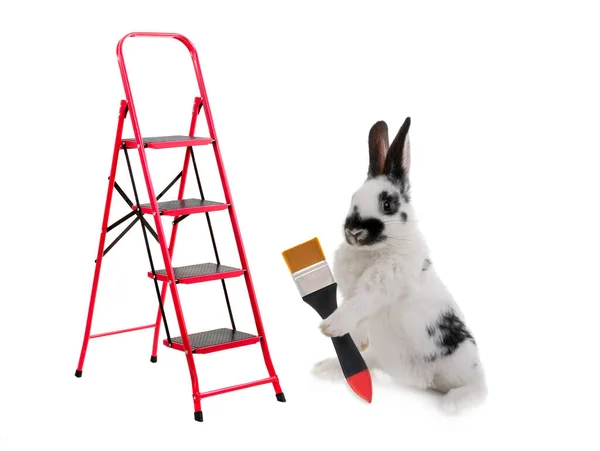 Kaninchen Steht Auf Seinen Hinterbeinen Mit Einem Pinsel Auf Weißem — Stockfoto