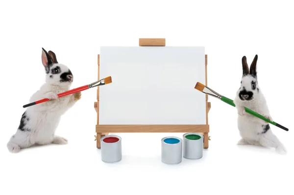 Two Bunnies Stand Easel Tassels Isolated White Background Writing Your — Stock Photo, Image