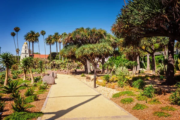 在洛杉矶的 Alond 圣莫尼卡大道花园公园的仙人掌公园 — 图库照片