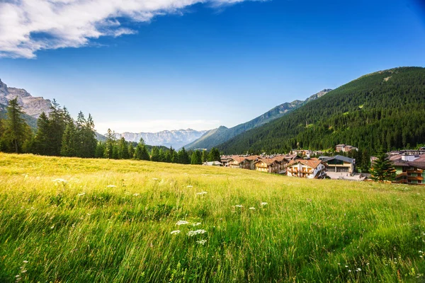 Alpenweiden San Martino Castrozza Dorp Van Trentino Alto Adige Italië — Stockfoto