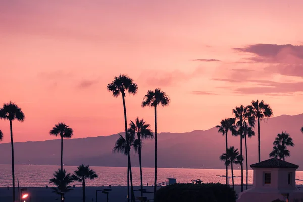 Lila Napnyugta Santa Monica Állami Beach Sziluettek Pálmafák — Stock Fotó