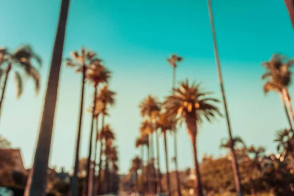 Opzettelijk Intreepupil Beverly Hills Palmen Retro Toon — Stockfoto