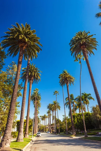 Calle Soleada Beverly Hills Con Palmeras — Foto de Stock