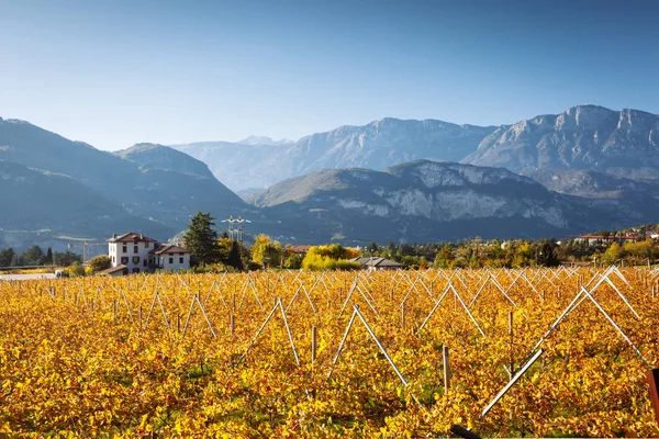 Herfst Alpen Van Trentino Zuid Tirol Italië — Stockfoto