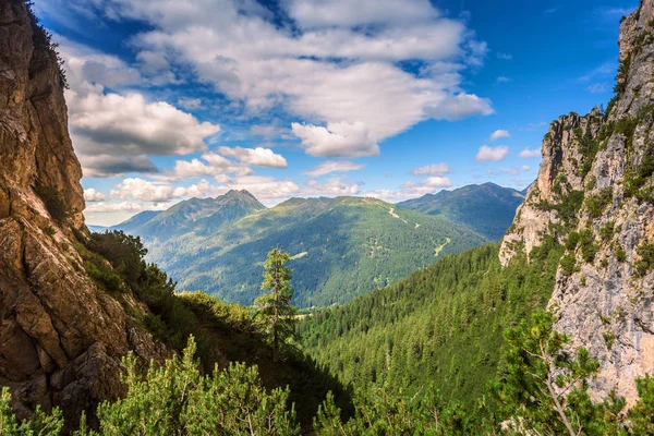 徒步旅行在圣圣马蒂诺迪卡斯特罗扎 在遥远的山顶和绿色森林的看法 — 图库照片
