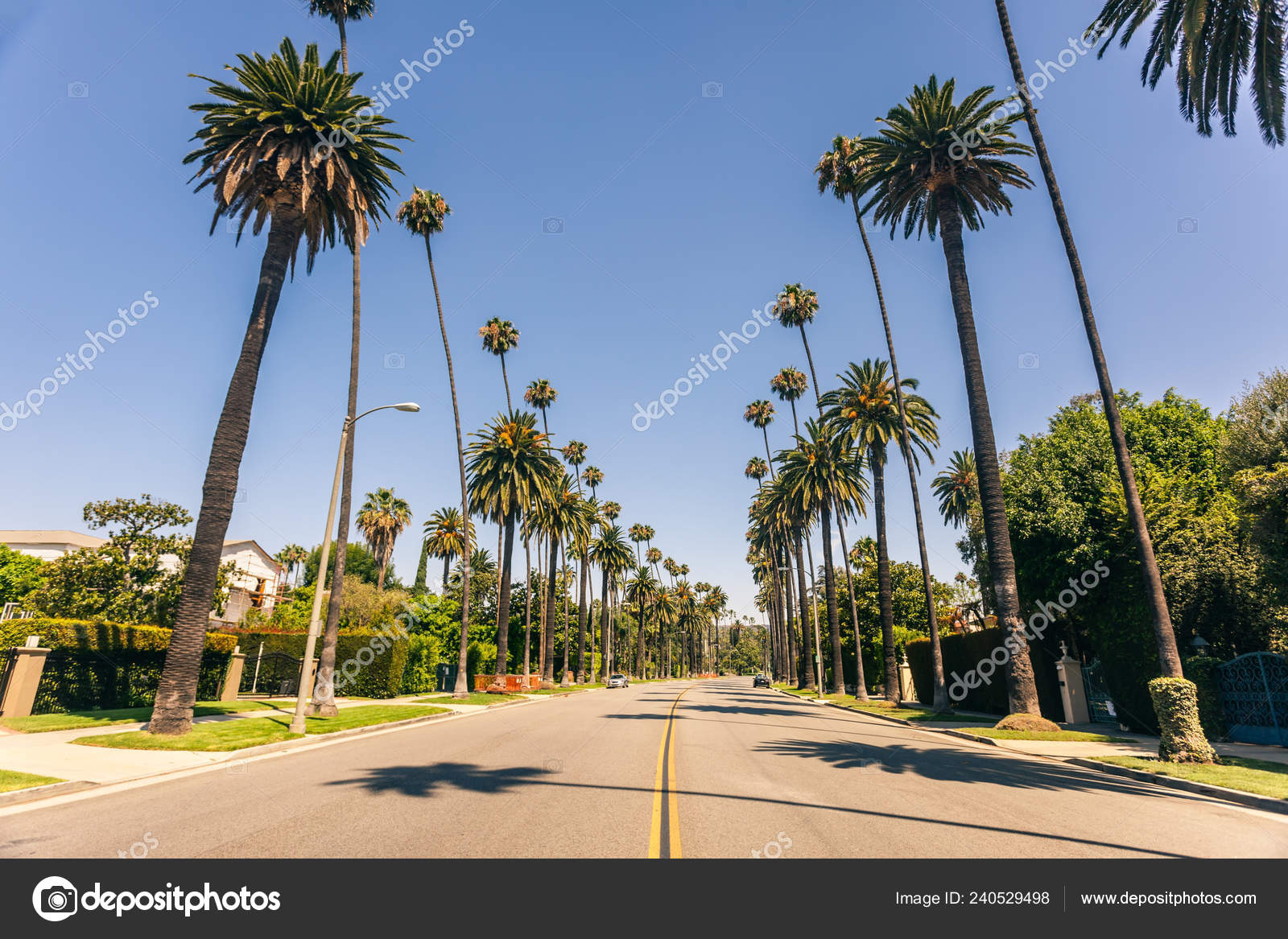 Famous Beverly Hills Palms Sunny Day Stock Photo by ©nata_rass 240529498